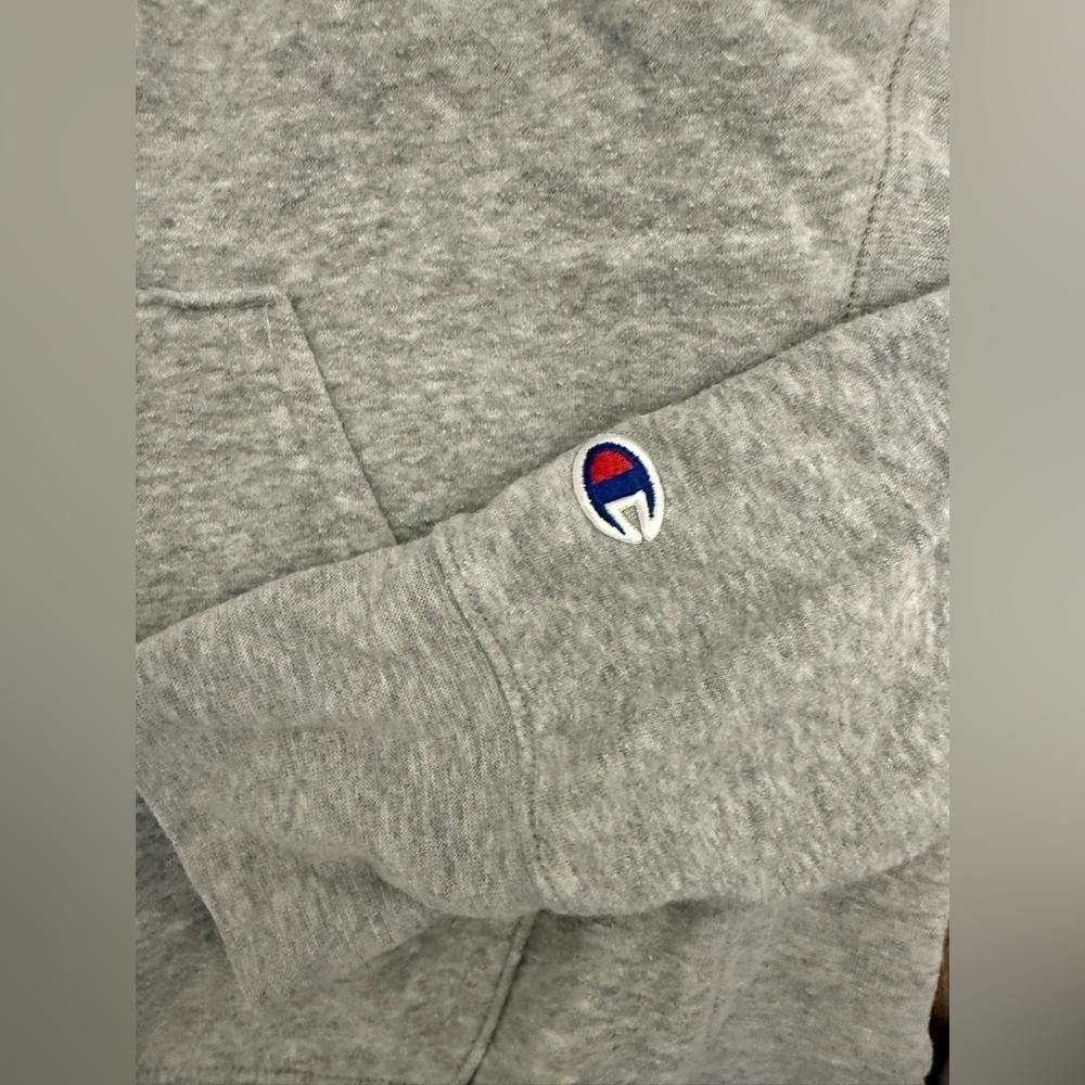 Champion Unisex Size Medium Montauk Hoodie Gray Sweatshirt Pullover - Picture 4 of 5